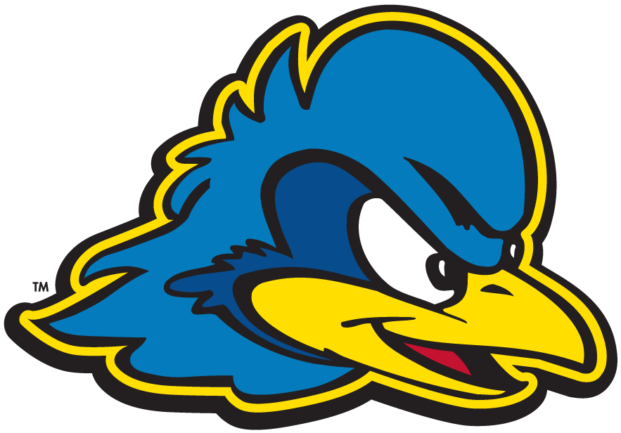 Delaware Blue Hens 2009-Pres Secondary Logo v2 iron on transfers for clothing